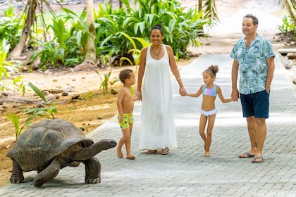 Mahé : excursion de découverte du sud sauvage avec déjeuner local