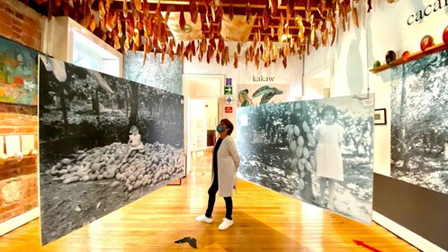 Ciudad de México: Entrada Museo MUCHO del Chocolate