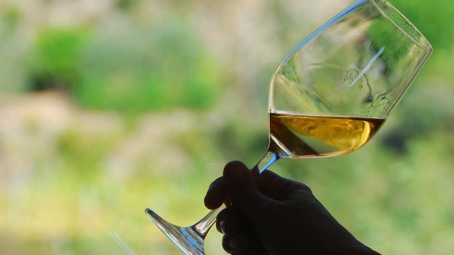 Manarola: Cinque Terre Wine Tasting
