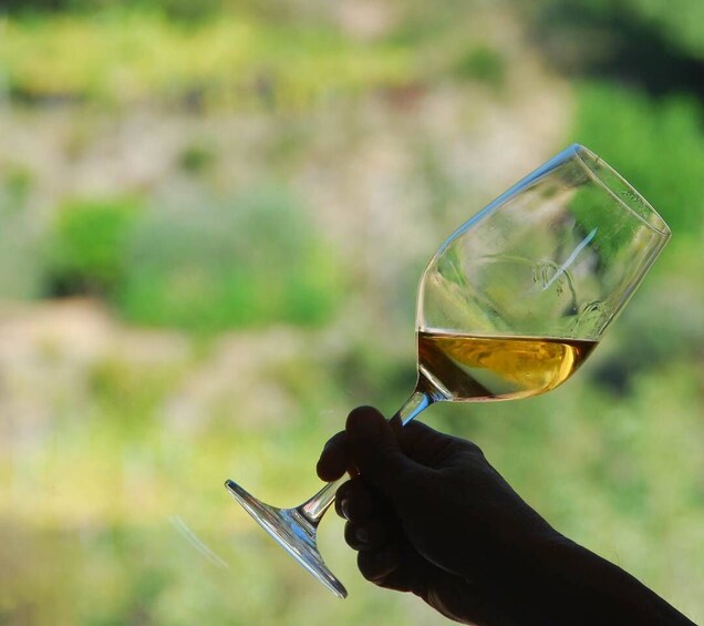 Manarola: Cinque Terre Wine Tasting