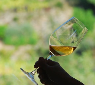 Manarola : Dégustation de vins des Cinque Terre