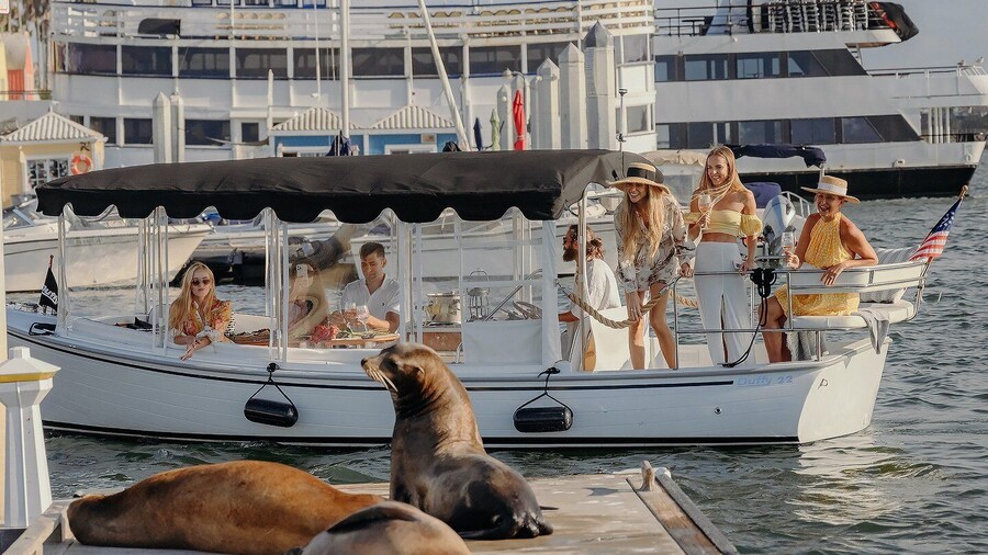 Los Angeles: Luxury Cruise with Wine, Cheese & Sea Lions