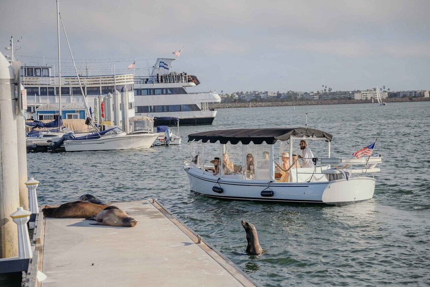 Picture 4 for Activity Los Angeles: Luxury Cruise with Wine, Cheese & Sea Lions