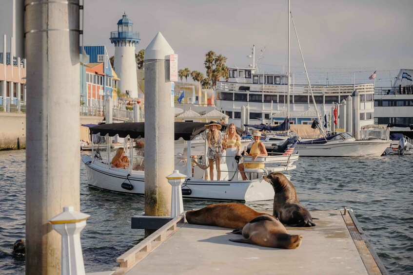 Picture 15 for Activity Los Angeles: Luxury Cruise with Wine, Cheese & Sea Lions