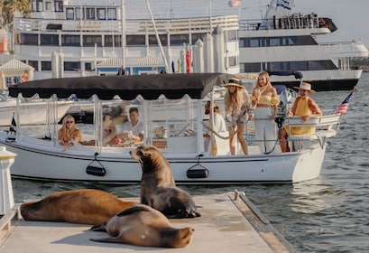 Marina del Rey: Luxury Boat Cruise with Wine & Cheese
