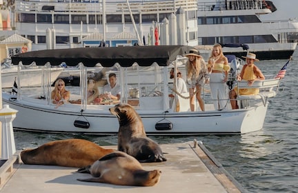Los Ángeles: crucero de lujo con vino, queso y leones marinos
