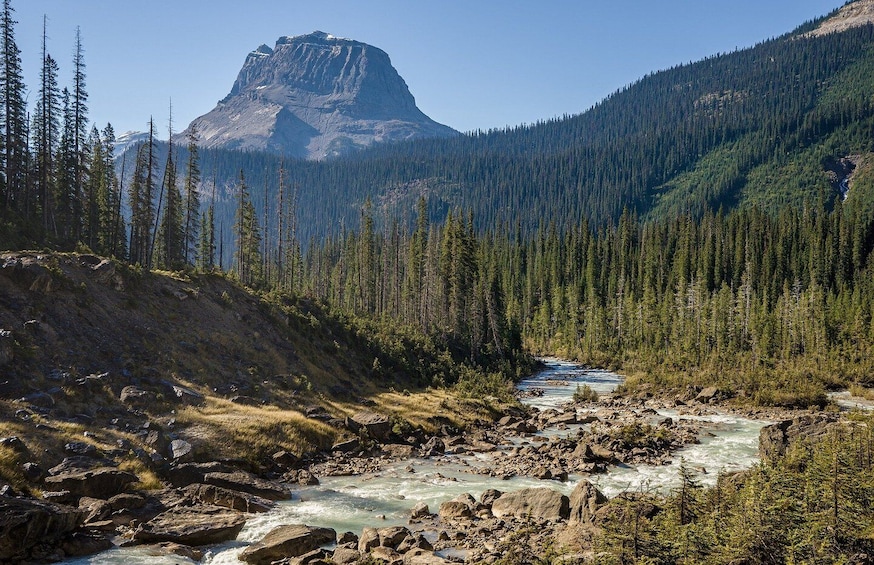 Picture 7 for Activity Icefields Parkway: Smartphone Audio Driving Tour