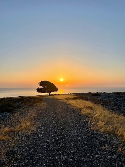Rhodes: Pefkos-Navarone Bay, “the magic of sunrise”