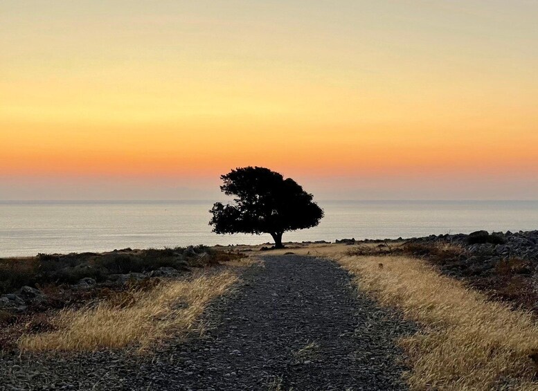 Picture 8 for Activity Rhodes: Pefkos-Navarone Bay, “the magic of sunrise”