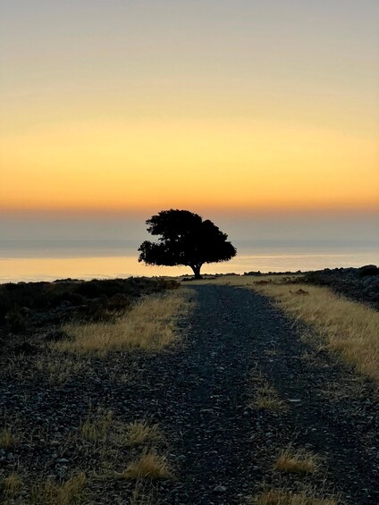 Picture 15 for Activity Rhodes: Pefkos-Navarone Bay, “the magic of sunrise”