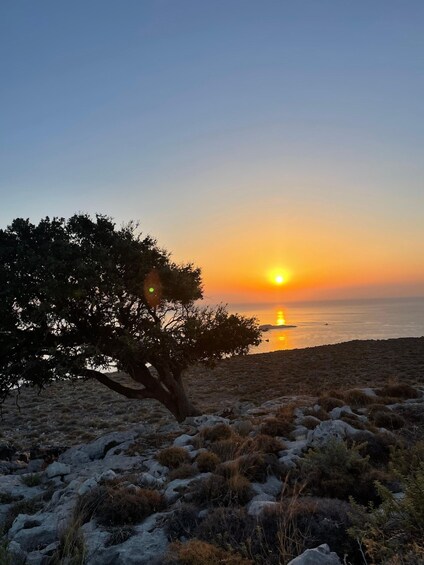 Picture 10 for Activity Rhodes: Pefkos-Navarone Bay, “the magic of sunrise”