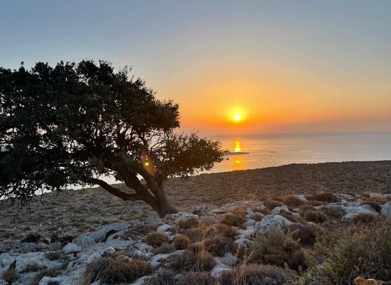 Picture 13 for Activity Rhodes: Pefkos-Navarone Bay, “the magic of sunrise”