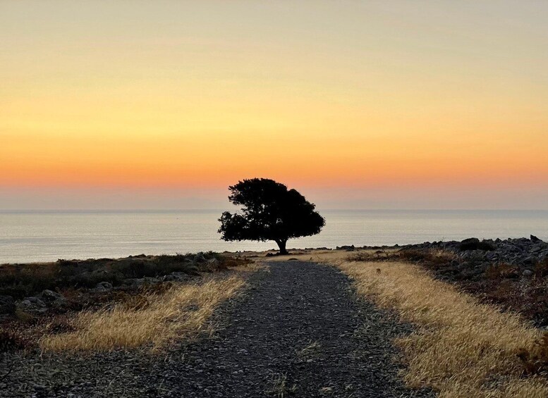 Picture 8 for Activity Rhodes: Pefkos-Navarone Bay, “the magic of sunrise”