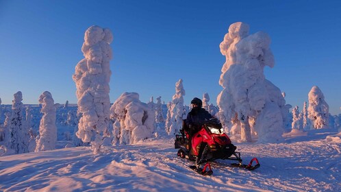 Levi: Evening Snowmobile Safari