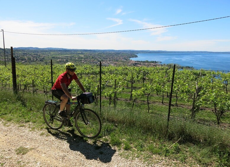 Picture 6 for Activity From Verona: Lake Garda E-Bike tour with lunch SELF GUIDED