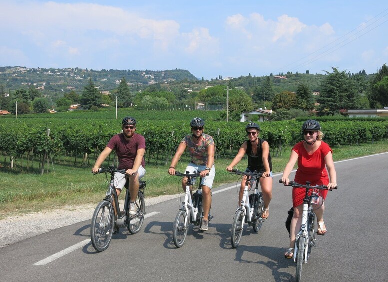 Picture 7 for Activity From Verona: Lake Garda E-Bike tour with lunch SELF GUIDED