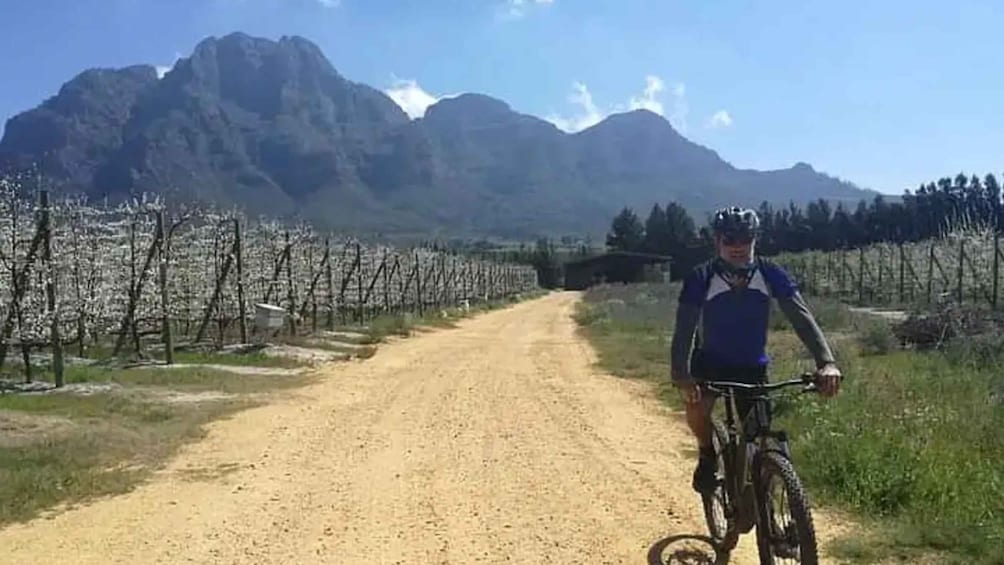 Picture 2 for Activity From Cape Town: Cape Winelands E-Bike Tour with Lunch & Wine