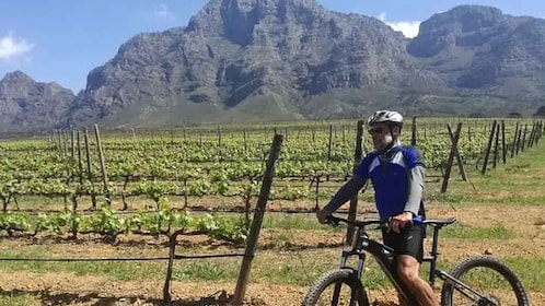 Från Kapstaden: Cape Winelands E-Bike Tour med lunch och vin