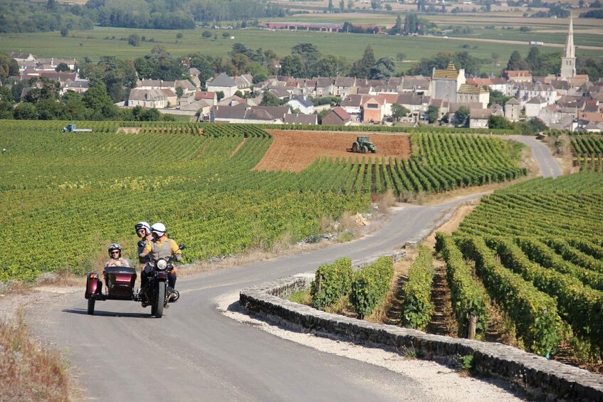 Picture 1 for Activity Meursault: Tour of the Vineyards on Motorbike with Sidecar