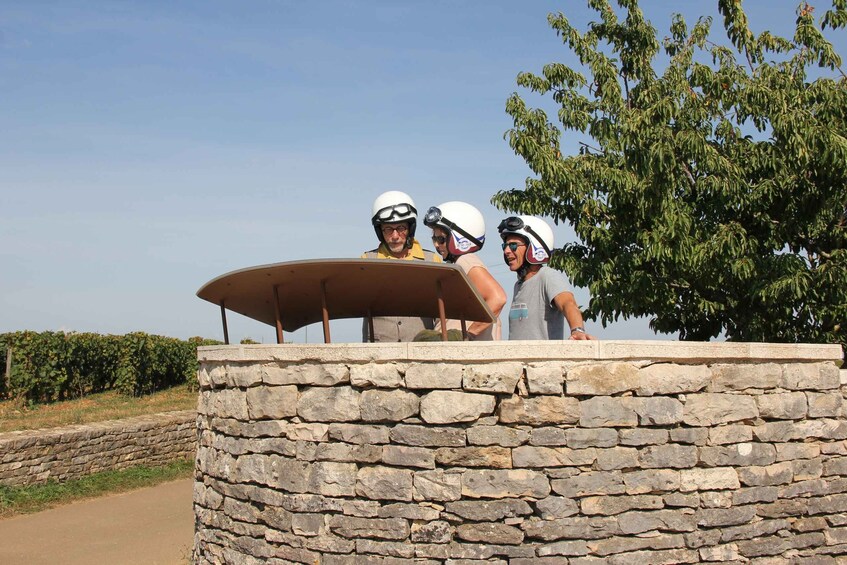 Picture 2 for Activity Meursault: Tour of the Vineyards on Motorbike with Sidecar