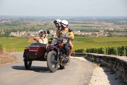 Meursault: Rundtur i vingårdarna på motorcykel med sidovagn