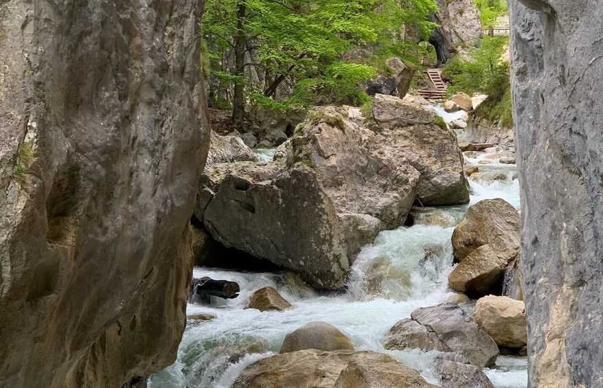 Picture 6 for Activity From Bled: Half-Day Crystal River Hike