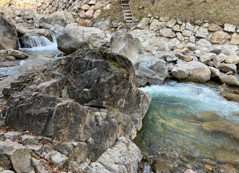 Picture 5 for Activity From Bled: Half-Day Crystal River Hike