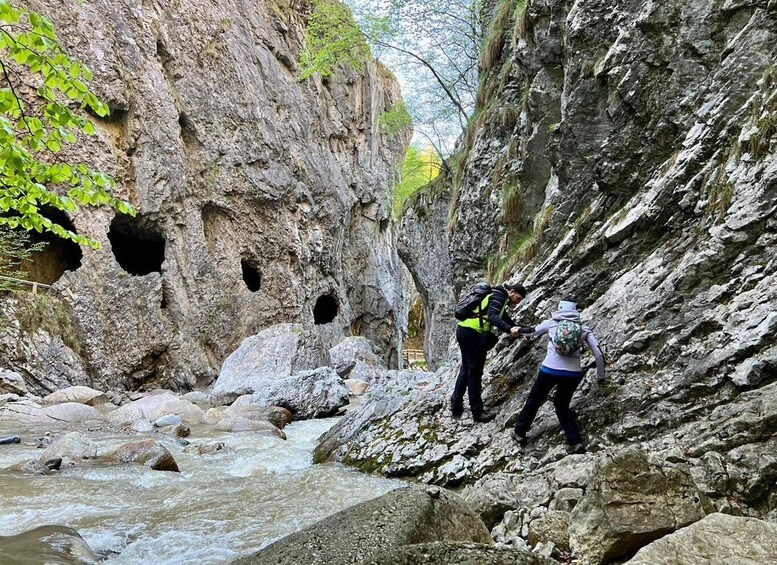 Picture 2 for Activity From Bled: Half-Day Crystal River Hike