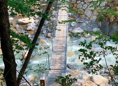 From Bled: Half-Day Crystal River Hike