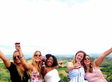 Från San Gimignano: Halvdags Chianti-vintur