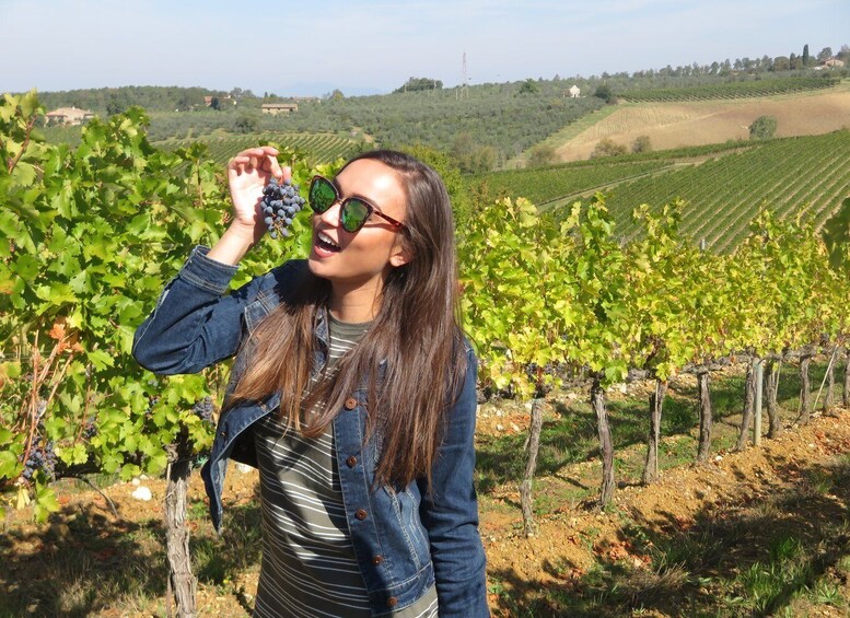 Picture 15 for Activity From San Gimignano: Half-Day Chianti Wine tour