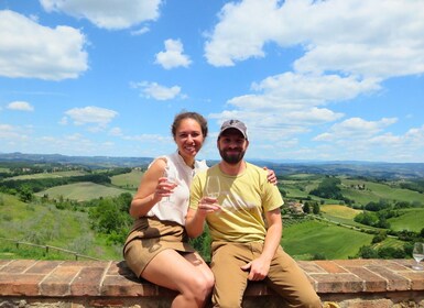 Desde San Gimignano: tour de vino Chianti de medio día