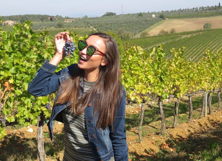 Picture 15 for Activity From San Gimignano: Half-Day Chianti Wine tour