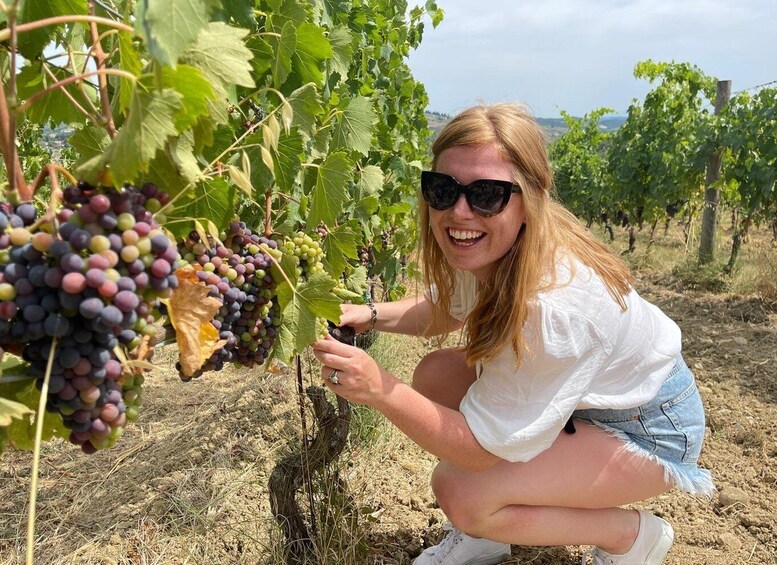 Picture 4 for Activity From San Gimignano: Half-Day Chianti Wine tour