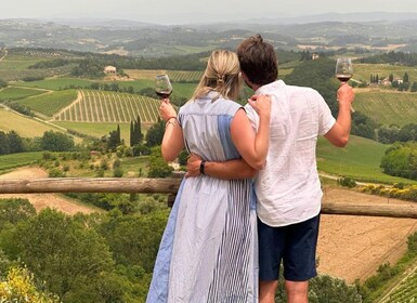 De San Gimignano: visite d'une demi-journée des vins du Chianti