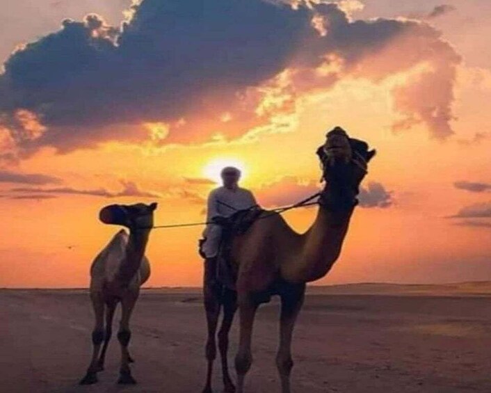 Picture 3 for Activity Sharjah: Four-Wheeling in Sahara Sand Dunes