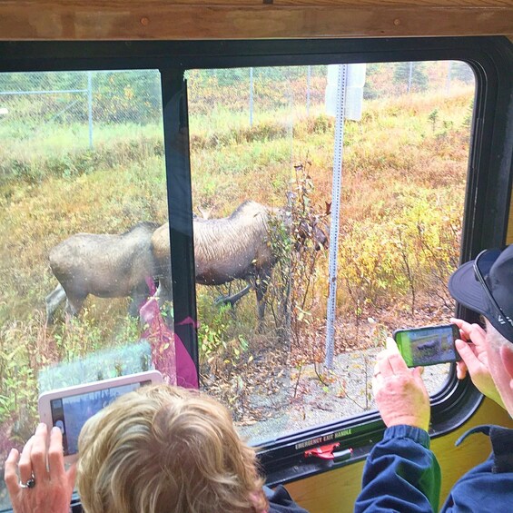 Picture 2 for Activity Anchorage's Deluxe Trolley City Tour