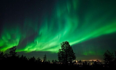 Finse Laplands: Leg het noorderlicht vast in de arctische natuur