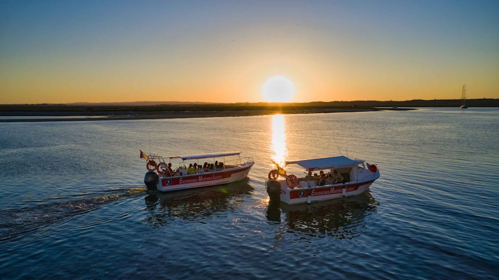 Picture 6 for Activity Isla Cristina/Isla Canela: Boat Trip Through the Marshes