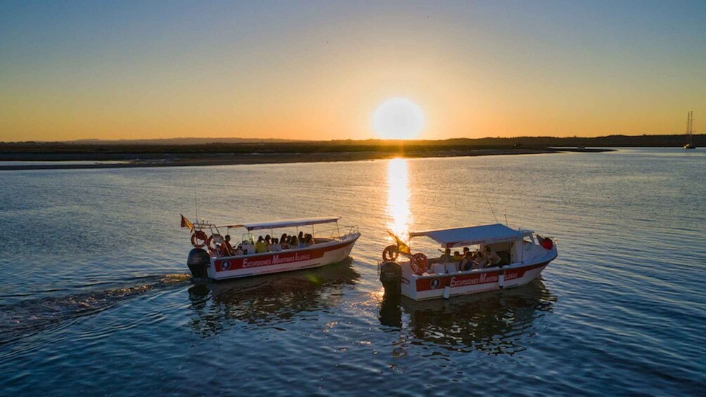 Picture 6 for Activity Isla Cristina/Isla Canela: Boat Trip Through the Marshes