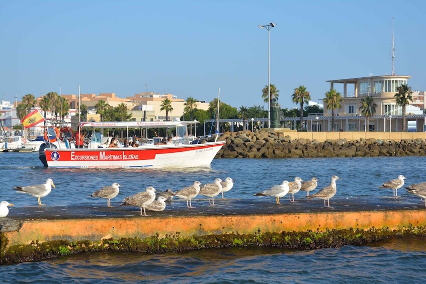 Picture 7 for Activity Isla Cristina/Isla Canela: Boat Trip Through the Marshes