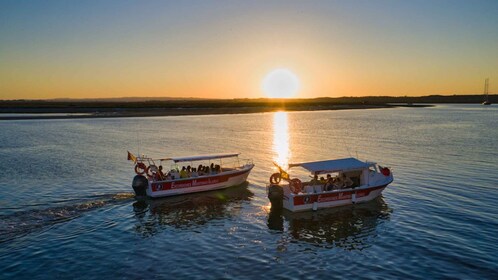 Isla Cristina/Isla Canela: Boat Trip Through the Marshes
