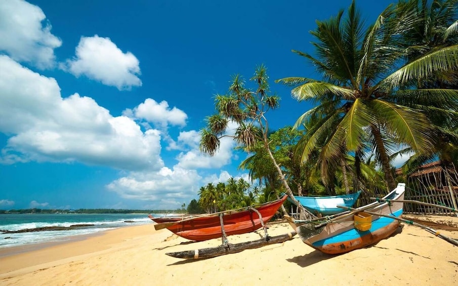 Picture 7 for Activity Sri Lanka: Honeymoon in Paradise Island All-Inclusive Trip