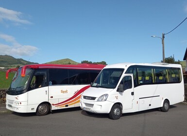 Terceira - Private Group - Half Day Guided Bus Tour