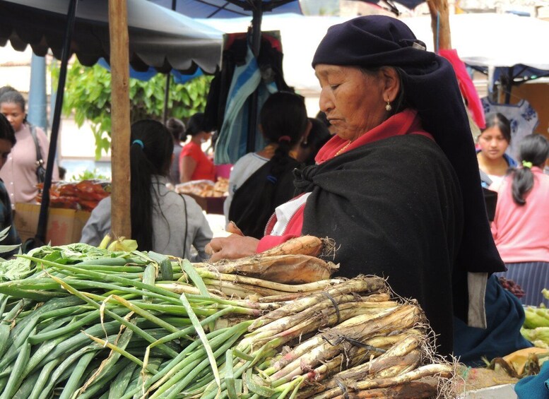 Picture 7 for Activity From Quito: Otavalo Indian Market and Rose Farm Shared Tour