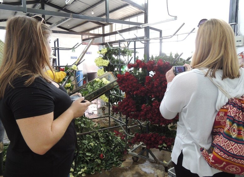 Picture 14 for Activity From Quito: Otavalo Indian Market and Rose Farm Shared Tour