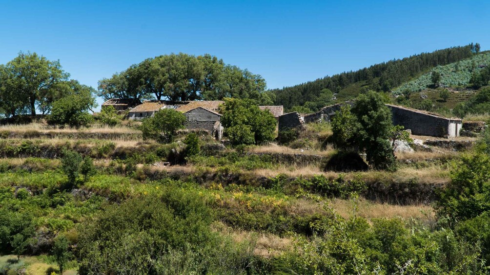 Picture 3 for Activity Algarve: Serra de Monchique & Bravura Off-Road Day Trip