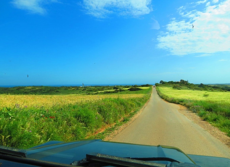 Picture 1 for Activity Algarve: Serra de Monchique & Bravura Off-Road Day Trip