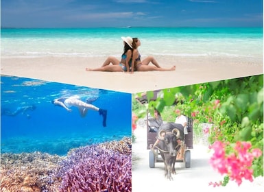 Ishigaki: Phantom Island Snorkeling and Taketomi Sightseeing