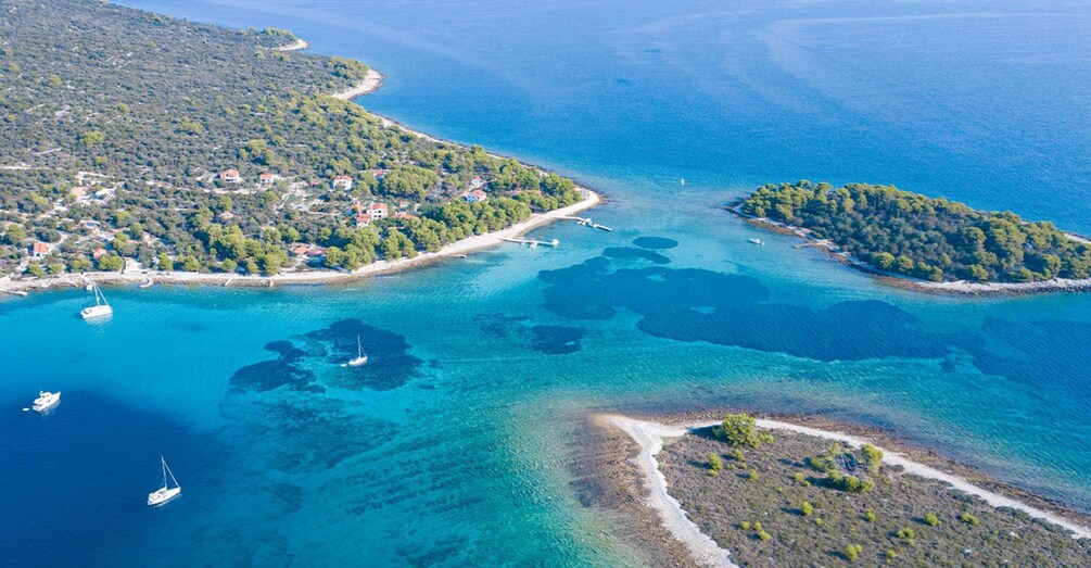 Picture 2 for Activity Trogir: White Lagoon, Maslinica & Blue Lagoon Speedboat Tour